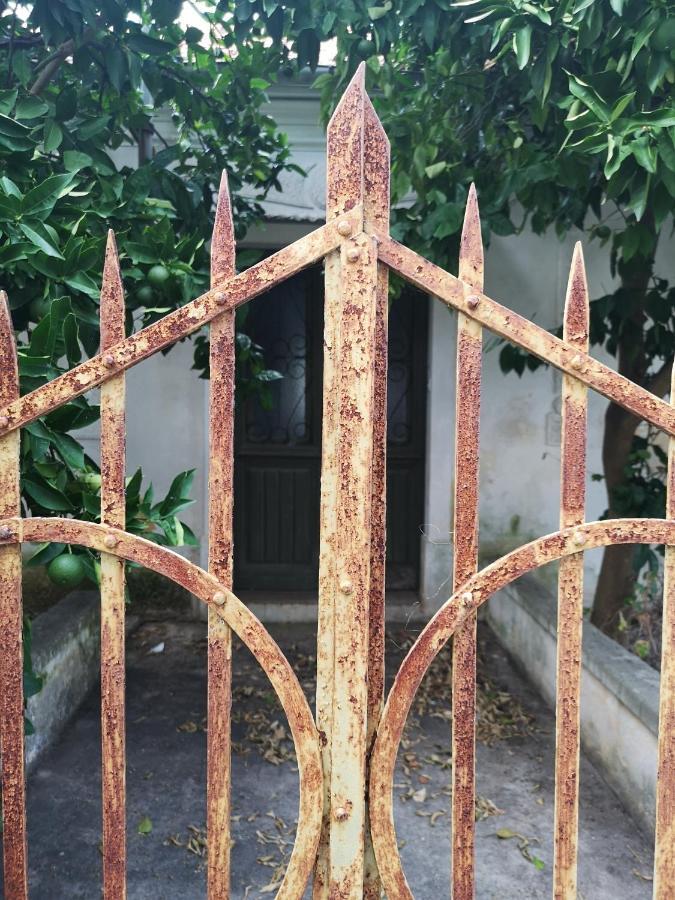 Casa Segota Hotel Veli Iž Eksteriør billede